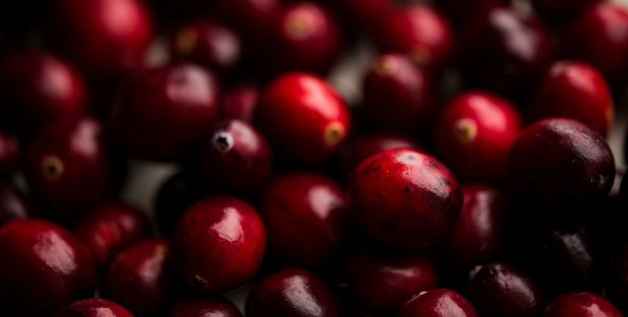 Cranberry-Kapseln