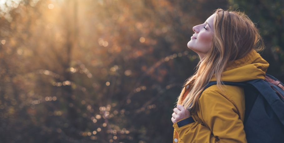 Alles über Bor (Boron)