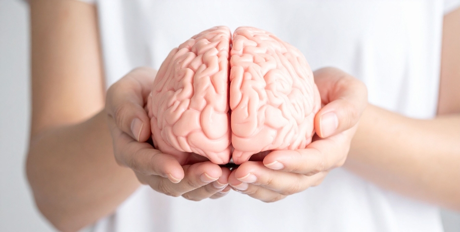 Der Nährstoffmangel, der das Gehirn bereits bei jungen Erwachsenen beeinflussen kann